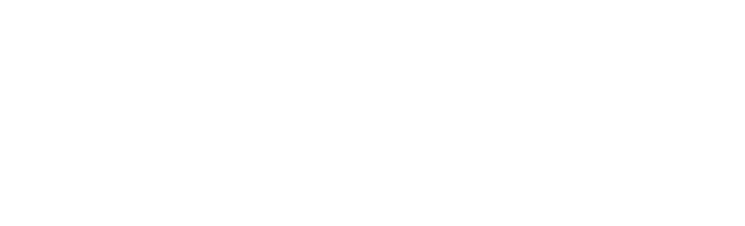 Western Digital